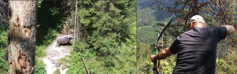 Landesmeisterschaft 3D BVNW…