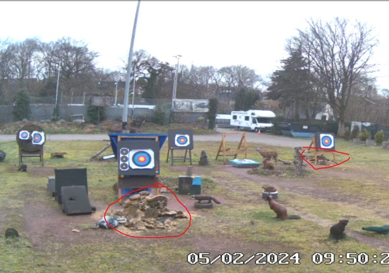 Arbeitseinsatz in der TBD Wald Arena…