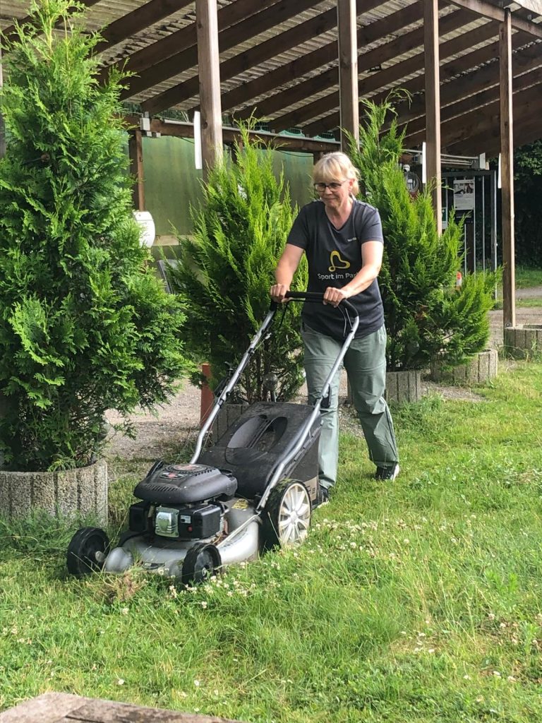 Sport im Park- Bogensport
