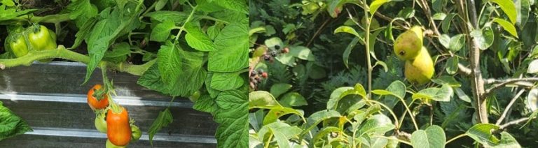 Gartenhauszeit 2025…