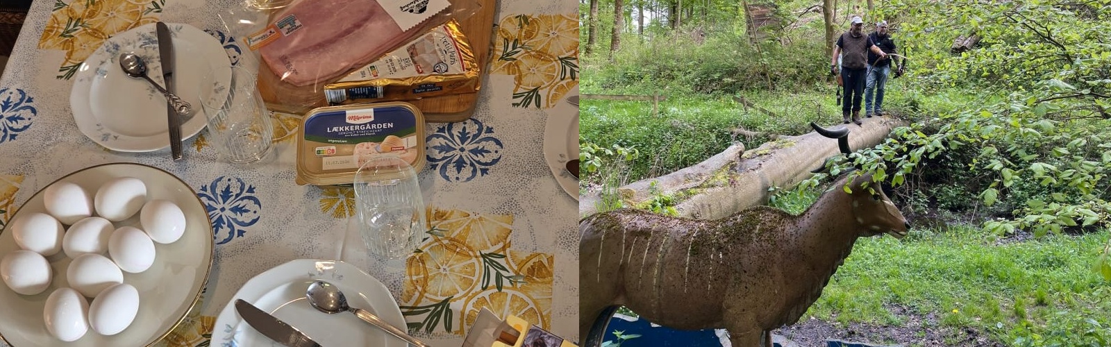 Frühstück am Montag und wichtige Termine… Frühstück am Montag und wichtige Termine…