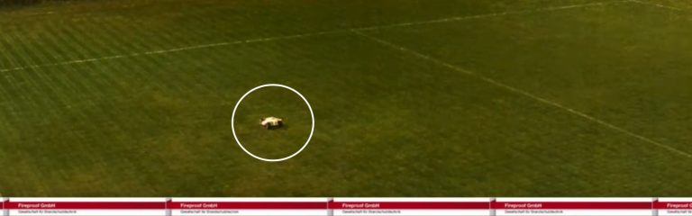 Gehfusball am Freitag…