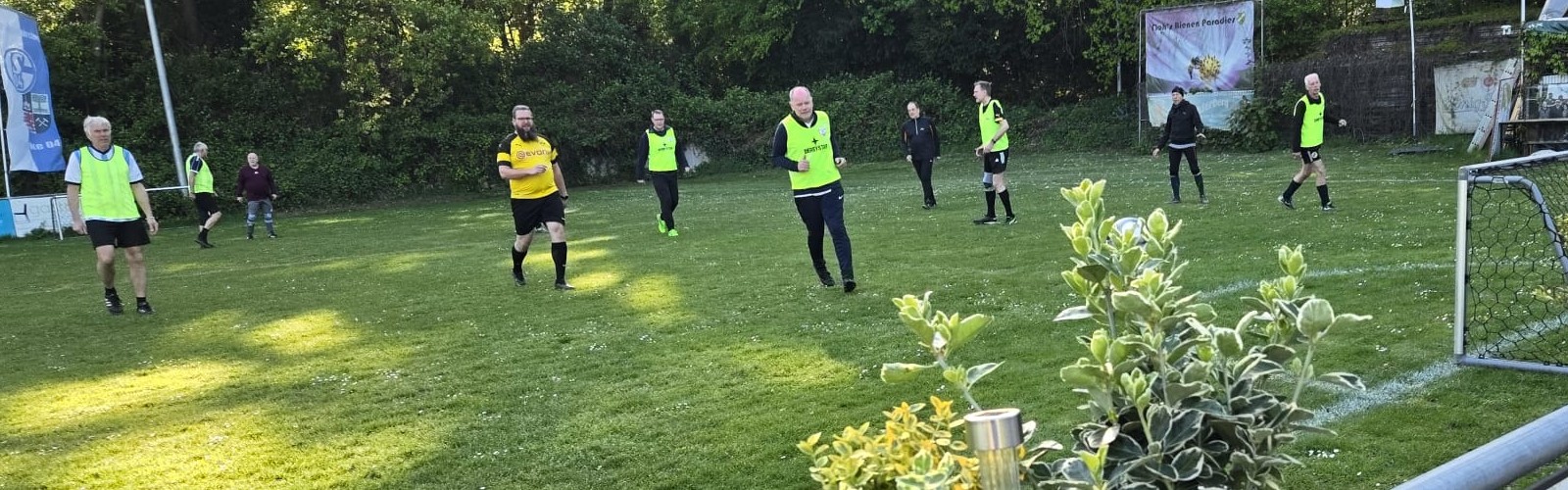 Gehfussball am Dienstag...