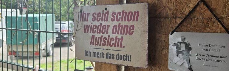 KW 37 beim TBD…